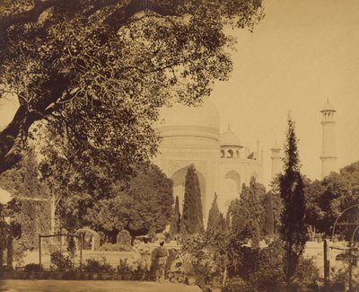 ताज महल द्वारा फेलिस बीटो