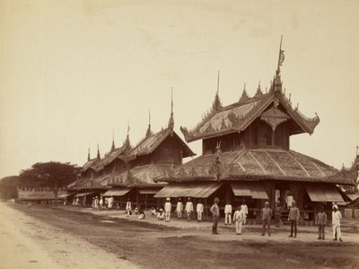  द्वारा फेलिस बीटो