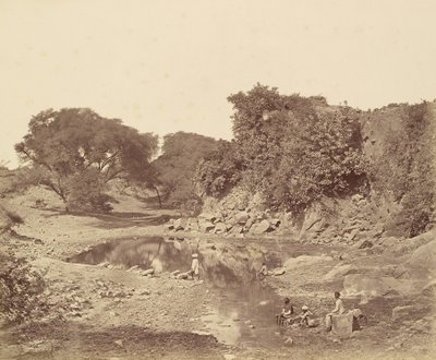  द्वारा फेलिस बीटो