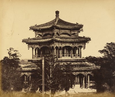  द्वारा फेलिस बीटो