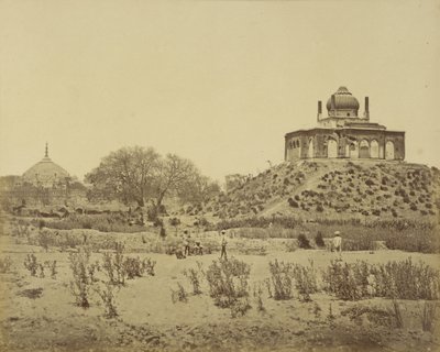 कुद्मसी रसोल द्वारा फेलिस बीटो