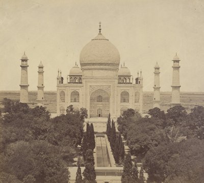  द्वारा फेलिस बीटो