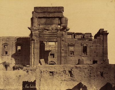 पलमायरा, सीरिया में सूर्य के मंदिर के अवशेष द्वारा फेलिक्स बोनफिल्स