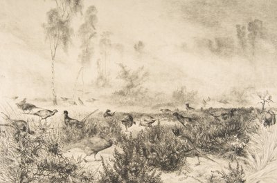 सुबह की धुंध, 1882। द्वारा फेलिक्स ब्रैकक्मोंड