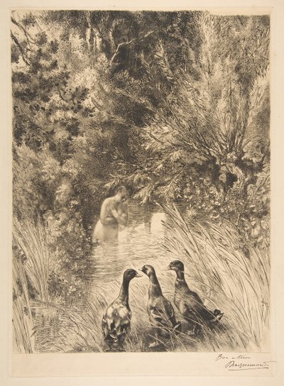 बतख को आश्चर्य हुआ, 1882। द्वारा फेलिक्स ब्रैकक्मोंड