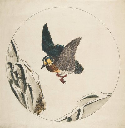 एक प्लेट के लिए सजावट: बर्फ से ढकी शाखाओं पर उड़ने वाली एक बत्तख, 1850-1914। द्वारा फेलिक्स ब्रैकक्मोंड