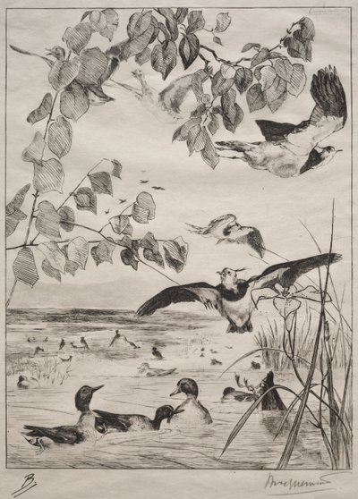 लैपविंग और टील्स, 1862। द्वारा फेलिक्स ब्रैकक्मोंड
