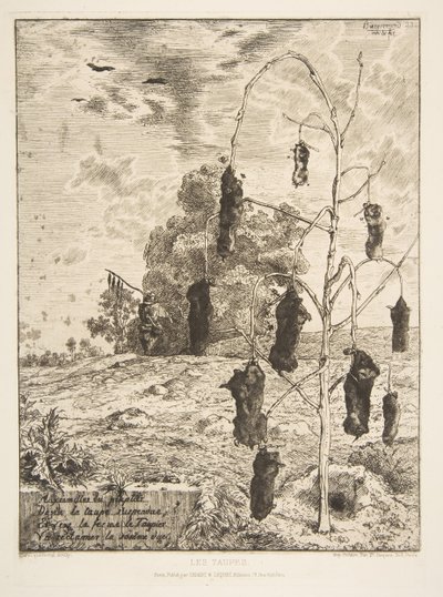 मोल्स, 1854। द्वारा फेलिक्स ब्रैकक्मोंड