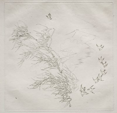 पेरिसियन सेवा (हैविलैंड सेवा): तूफान (सं. 8) द्वारा फेलिक्स ब्रैकक्मोंड
