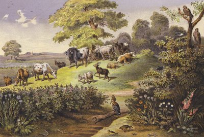  द्वारा फर्डिनेंड कार्ल क्लिम्श