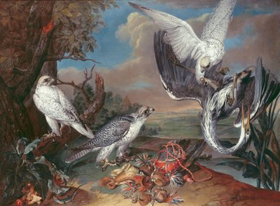 ग्रीनलैंड साइर फाल्कन द्वारा Ferdinand Phillip de Hamilton