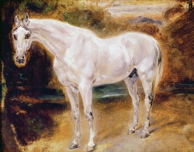 सफ़ेद घोडा द्वारा Ferdinand Victor Eugene Delacroix