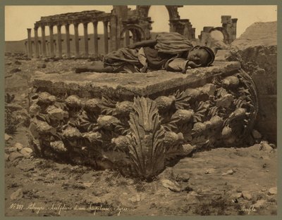 ग्रैंड कॉलोनेड, पलमायरा का एक दृश्य, c.1875 (एल्ब्यूमेन प्रिंट) द्वारा फेलिक्स बोनफिल्स