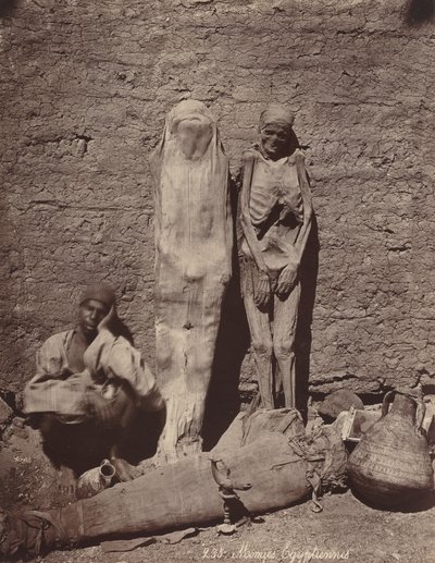 मोमीज़ इजिप्शियनीज़ इजिप्टियन ममीज़, सी. 1870. द्वारा फेलिक्स बोनफिल्स