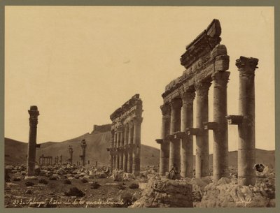 ग्रेट कोलोनेड का हिस्सा, कलात इब्न मान कैसल दूरी में, पलमायरा, c.1875 (एल्बम प्रिंट) द्वारा फेलिक्स बोनफिल्स