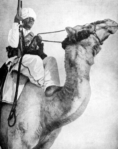 अफ्रीका का रेगिस्तान योद्धा, 1936। द्वारा फॉक्स तस्वीरें