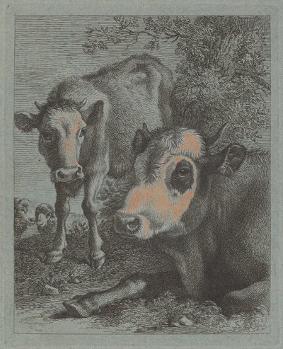 17581759, खुले में गाय और बछड़े को लेटा हुआ। द्वारा फ्रांसेस्को लंदनियो