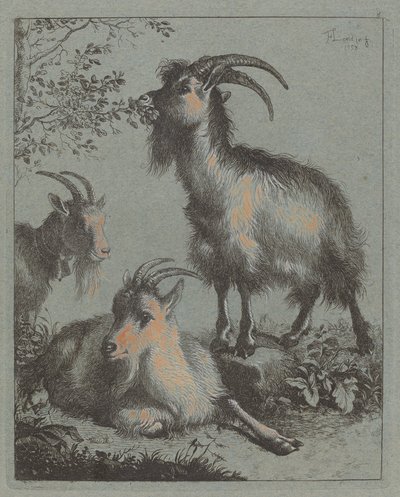 तीन बकरियां, 1758। द्वारा फ्रांसेस्को लंदनियो