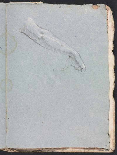 वेरोना स्केचबुक: दाहिना हाथ और बांह (पृष्ठ 95) द्वारा फ्रांसेस्को लोरेंज़ी