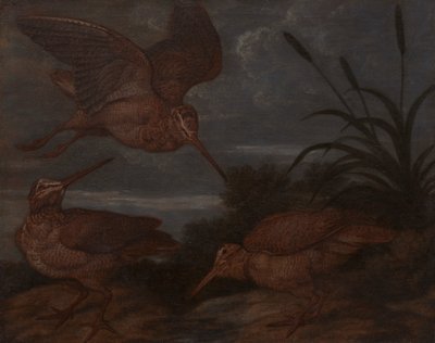  द्वारा Francis Barlow