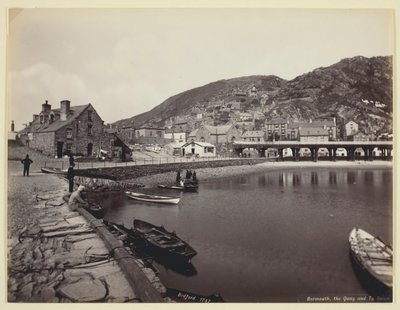 बरमाउथ, द क्वे एंड टाइ ग्विन, 186094। द्वारा फ्रांसिस बेडफोर्ड