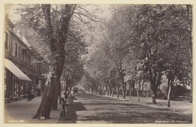 चेल्टेनहैम, प्रोमेनेड, 186094। द्वारा फ्रांसिस बेडफोर्ड