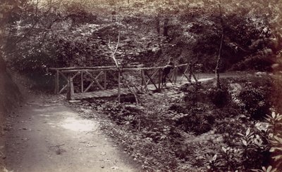 कोल्विन बे। लकड़ी में देहाती पुल, 1870। द्वारा फ्रांसिस बेडफोर्ड