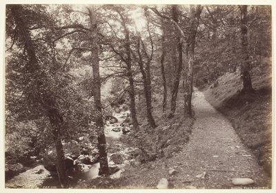 डोलगेली, टोरेंट वॉक में देखें, 186094। द्वारा फ्रांसिस बेडफोर्ड