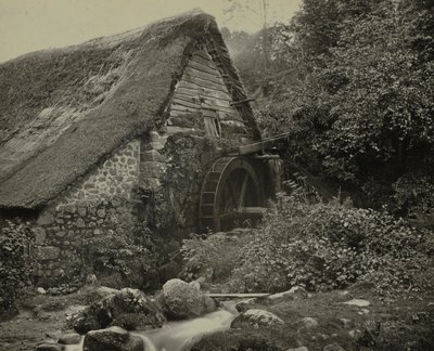 होली स्ट्रीट मिल, 1860 के दशक के उत्तरार्ध में। द्वारा फ्रांसिस बेडफोर्ड