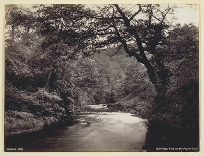 आइवी ब्रिज, प्रायर नदी पर देखें, 186094। द्वारा फ्रांसिस बेडफोर्ड