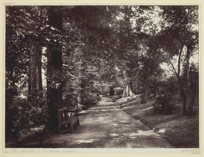 लेमिंगटन, जेफसन गार्डन में, 186094। द्वारा फ्रांसिस बेडफोर्ड