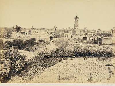  द्वारा फ्रांसिस फ्रिथ
