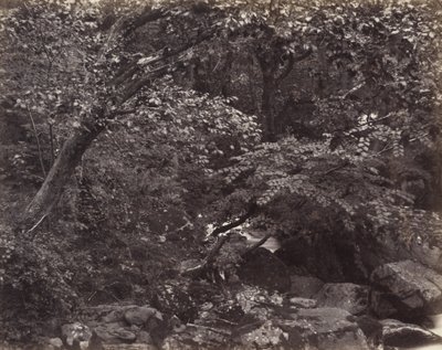 लिनमाउथ, 1860 के दशक में ग्लेन द्वारा फ्रांसिस बेडफोर्ड
