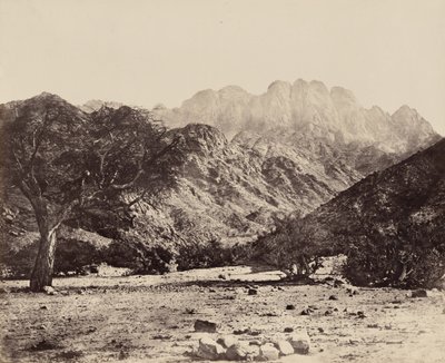  द्वारा फ्रांसिस फ्रिथ