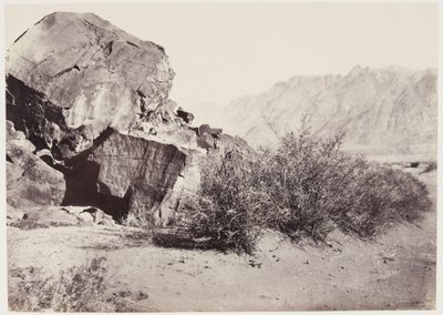 निकट पूर्व में Petroglyphs द्वारा फ्रांसिस फ्रिथ