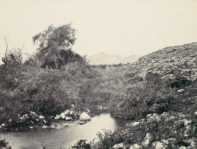 जेरिको का फव्वारा और शहर की संभावित साइट, सीए। 1857. द्वारा फ्रांसिस फ्रिथ