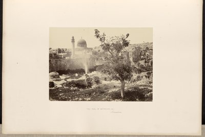  द्वारा फ्रांसिस फ्रिथ
