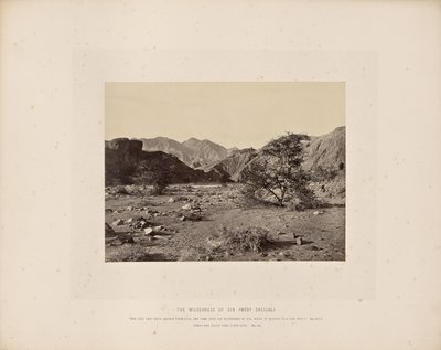  द्वारा फ्रांसिस फ्रिथ