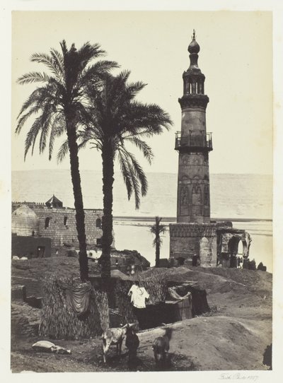  द्वारा फ्रांसिस फ्रिथ
