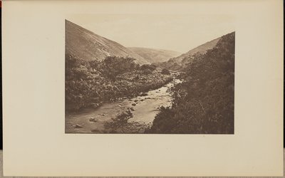  द्वारा ए.डब्लू. एल्सन एंड कंपनी.