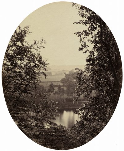 सेवर्न के बैंक, विंटरडाइन के पास, c. 1862. द्वारा फ्रांसिस ग्रेस्ली