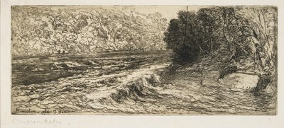 एक सामन के लिए एक संभावित स्थान, 1889 द्वारा फ्रांसिस सीमोर हैडेन