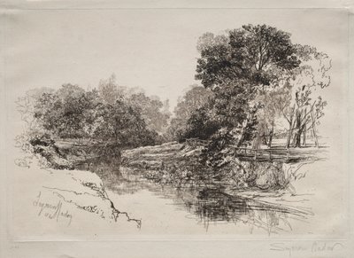 आयरलैंड में एक नदी, 1864। द्वारा फ्रांसिस सीमोर हैडेन