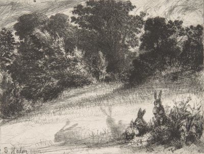 कॉम्बे बॉटम, 1860., 1860। द्वारा फ्रांसिस सीमोर हैडेन