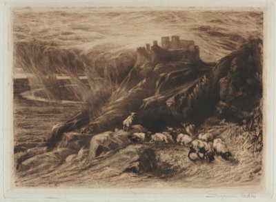 हार्लेक एक दूसरी प्लेट, 1880। द्वारा फ्रांसिस सीमोर हैडेन
