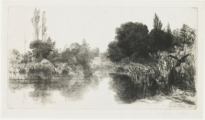 शेरे मिल तालाब (द लार्ज प्लेट), 1860 द्वारा फ्रांसिस सीमोर हैडेन
