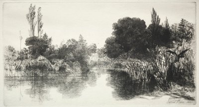 शेरे मिल पॉन्ड द लार्ज प्लेट, 1860। द्वारा फ्रांसिस सीमोर हैडेन