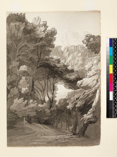 नंबर 1093 ए वुडेड लैंडस्केप, 1788 (स्याही और कागज पर धो) द्वारा फ्रांसिस टाउने