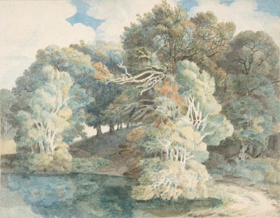 झील के किनारे पेड़, पीमोर पार्क, एक्सेटर के पास, डेवोन, 1790-1810। द्वारा फ्रांसिस टाउने