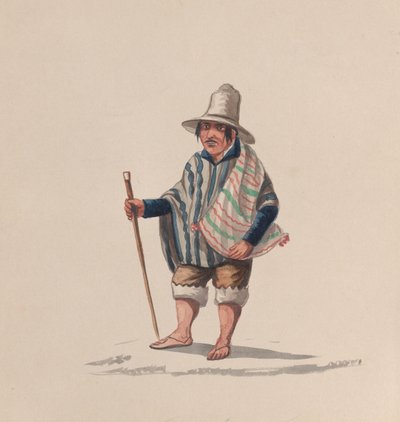 पेरू का एक व्यक्ति, पेरू की पोशाक को दर्शाने वाले चित्र के समूह से, ca. 1848. द्वारा फ्रांसिस्को